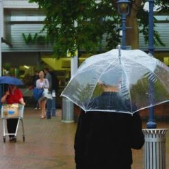 Merkloos Paraplu Doorzichtig - Winddichte Paraplu Regenbeschermende Paraplu Grote Doorzichtige Koepelparaplu Doorkijkparaplu Transparante Paraplu Met Lange Steel -Regenjassenwinkel 1200x1200 259