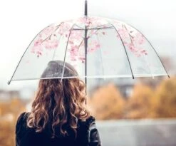 Fop En Bij Koepelparaplu - Paraplu - Doorzichtig - Voor Volwassenen - Opvouwbaar - Transparant Bloesem -Regenjassenwinkel 1200x994 3