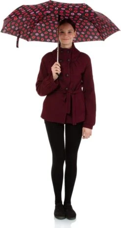 BiggDesign Windproof Paraplu - Automatisch - Opvouwbaar - Ø100cm -Regenjassenwinkel 640x1200