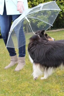 United Entertainment - Honden Paraplu - Wit -Regenjassenwinkel 800x1200 52