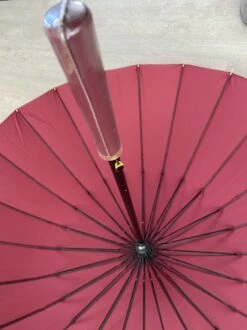 Merkloos Luxe Stormparaplu -Stormparaplu-24ribben-extra Sterk Paraplu-mooie Paraplu-windkracht 8 Paraplu -Regenjassenwinkel 899x1200 1